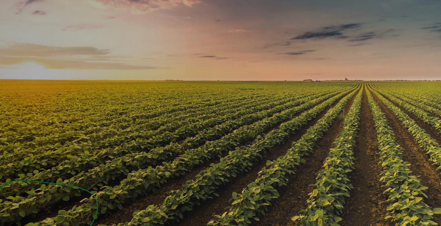 Transforme o seu agronegócio com o ARLA 32